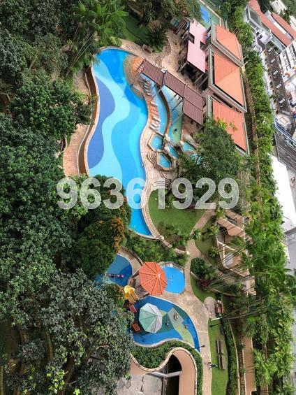 Thomson 800 (D11), Condominium #161640902